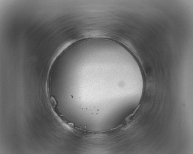 X0000062891293200601271638