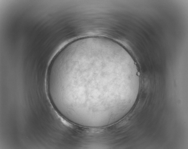 X0000062891294200601271638