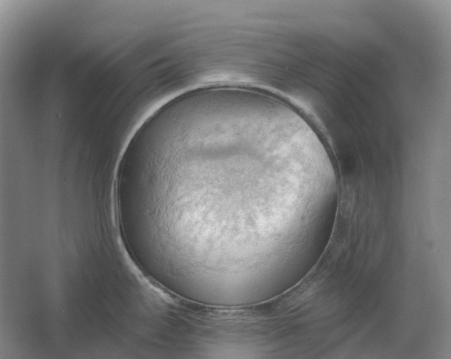 X0000062891295200601271638