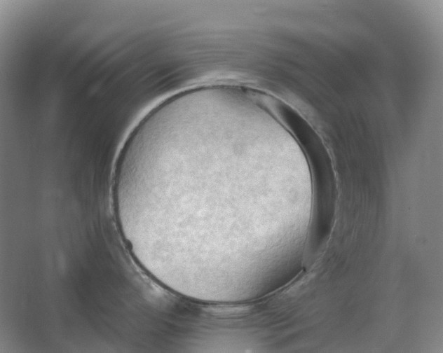 X0000062891296200601271638