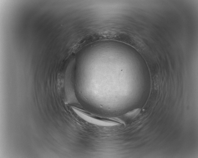 X0000062891298200601271637