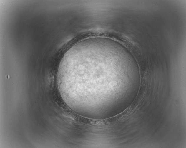 X0000062891302200601271637