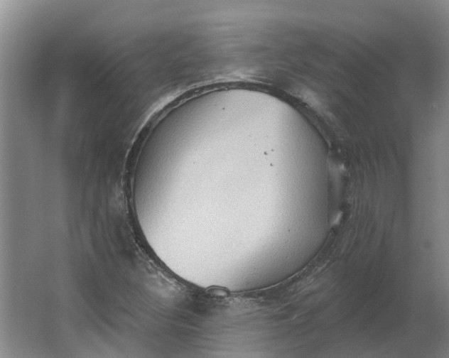 X0000062891308200601271637