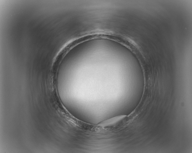 X0000062891310200601271637