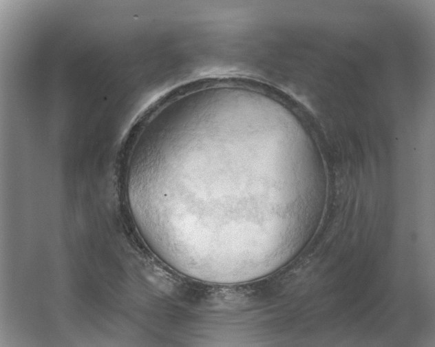 X0000062891311200601271637