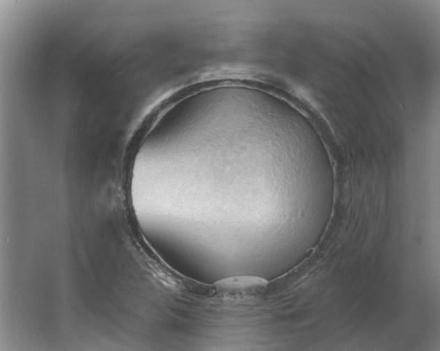 X0000062891312200601271637