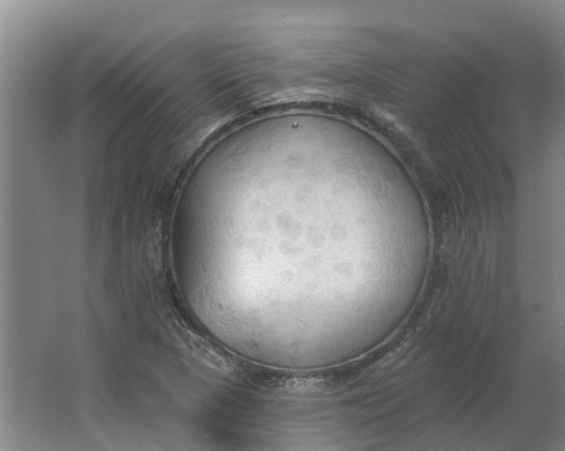 X0000062891313200601271637