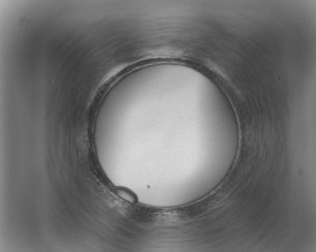 X0000062891315200601271637