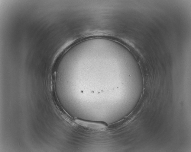 X0000062891317200601271637