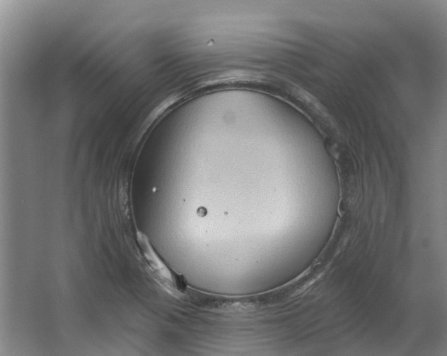 X0000062891321200601271637