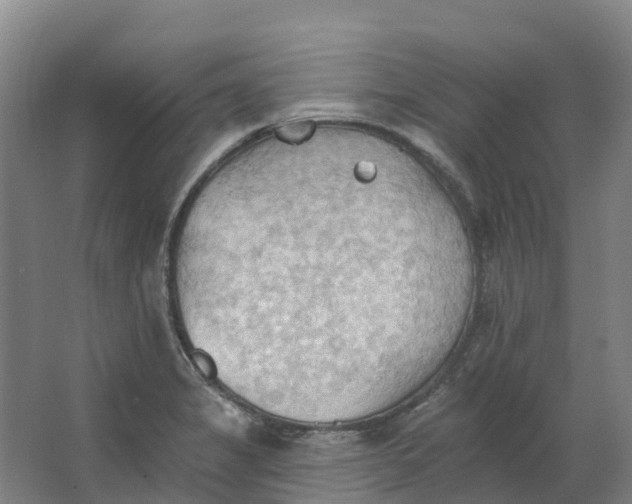 X0000062891325200601271637