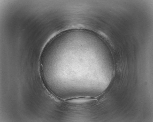 X0000062891326200601271637