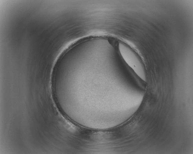 X0000062891327200601271637