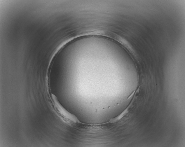 X0000062891332200601271638