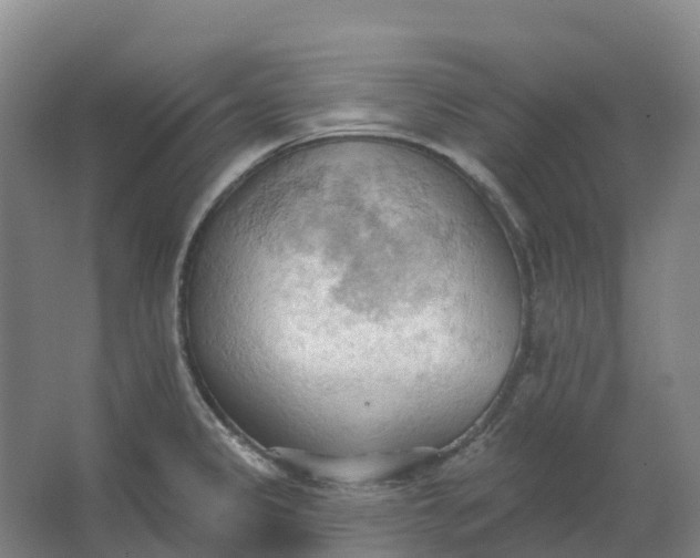 X0000062891333200601271638