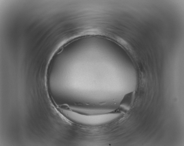 X0000062891334200601271638