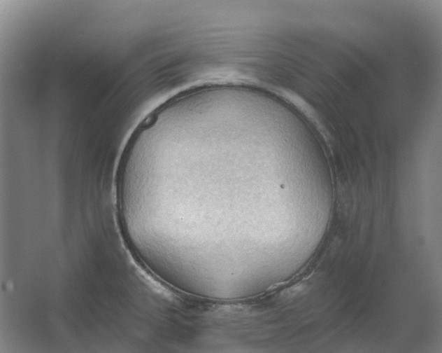 X0000062891335200601271638