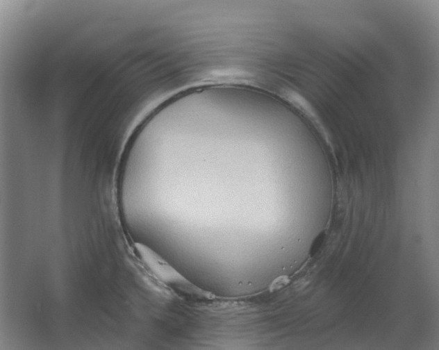 X0000062891336200601271638