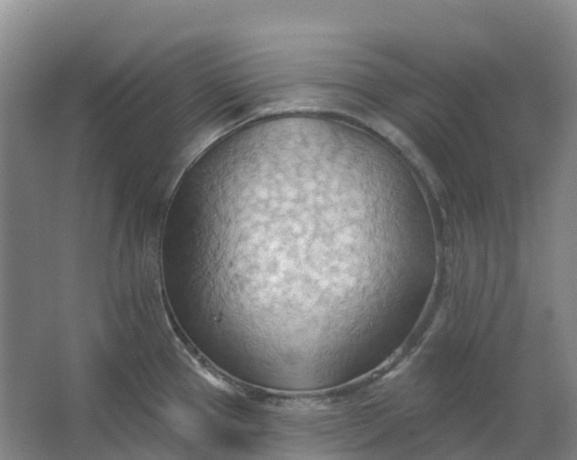 X0000062891337200601271638