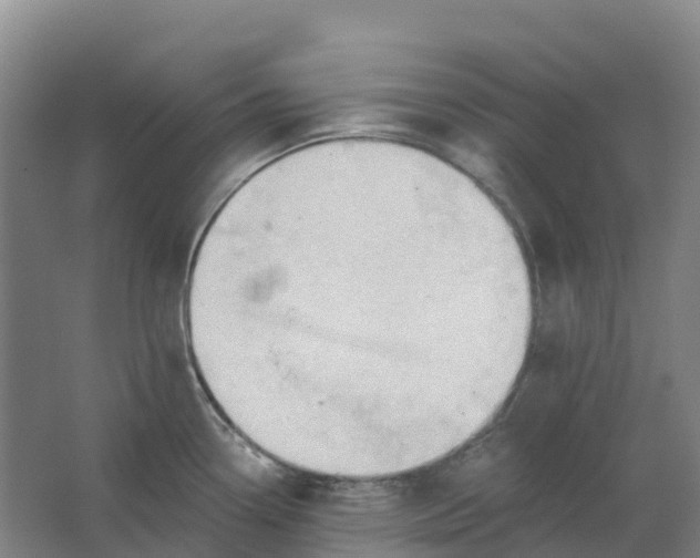 X0000062891338200601271638