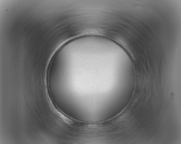 X0000062891339200601271638