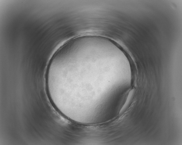 X0000062891341200601271638