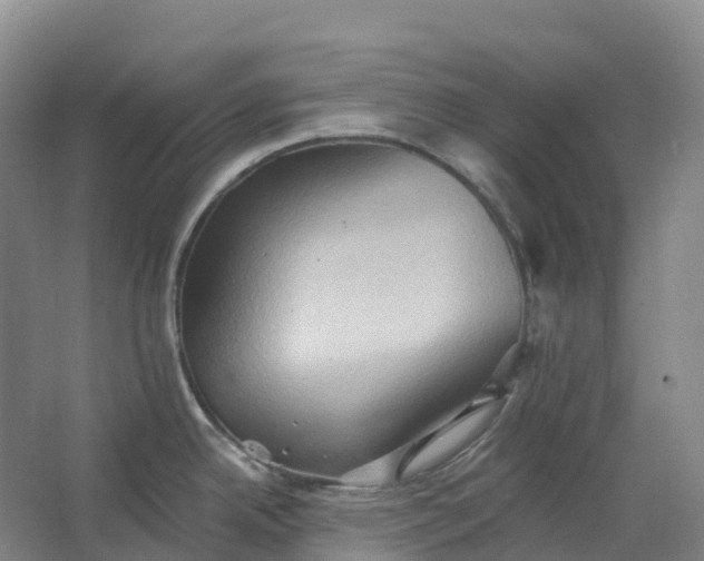 X0000062891342200601271638