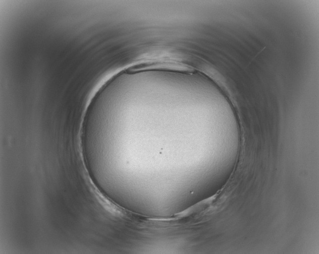 X0000062891344200601271638