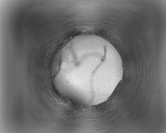 X0000062891345200601271637