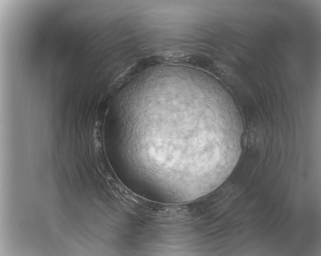 X0000062891346200601271637