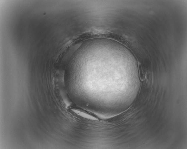 X0000062891348200601271637