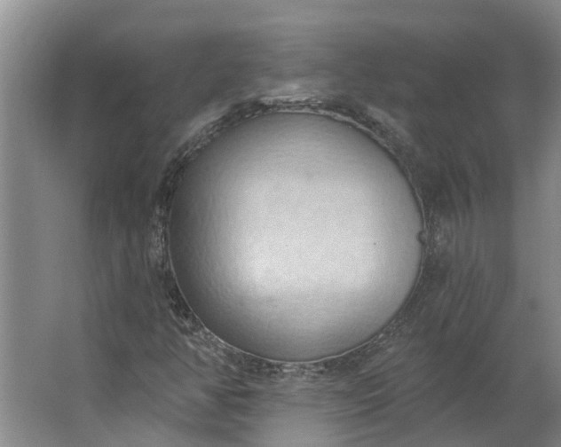 X0000062891350200601271637