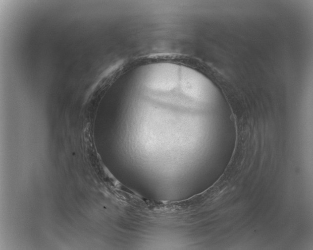 X0000062891351200601271637