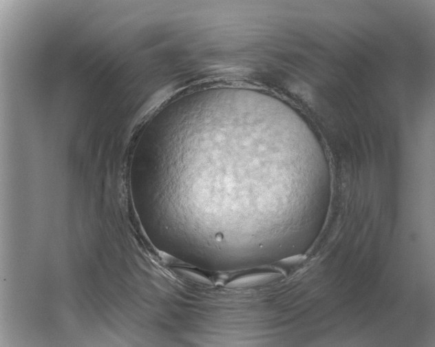 X0000062891354200601271637