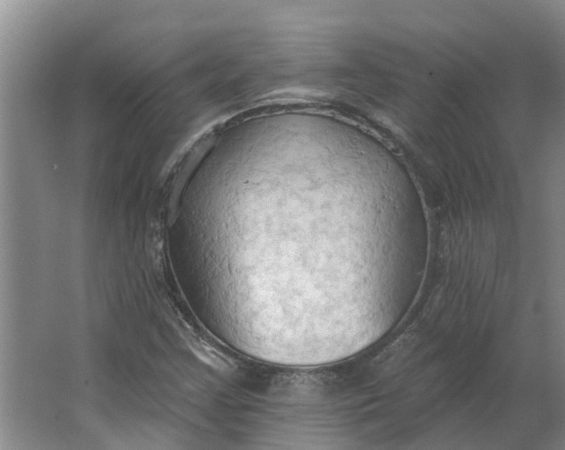 X0000062891355200601271637