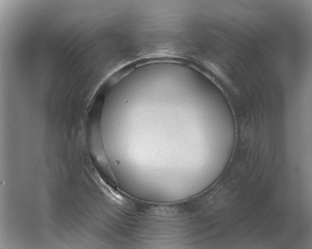 X0000062891356200601271637