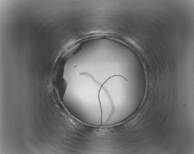 X0000062891357200601271637