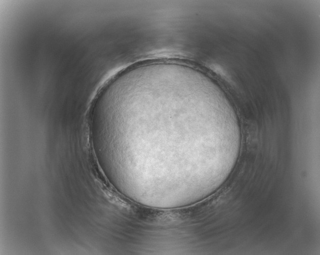 X0000062891358200601271637