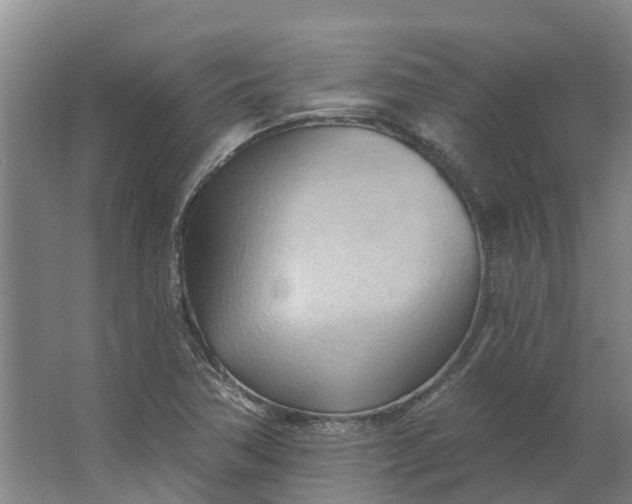 X0000062891362200601271637