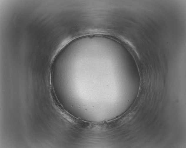 X0000062891365200601271637