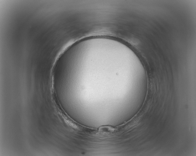 X0000062891366200601271637