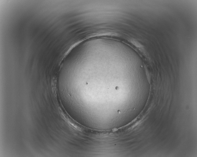 X0000062891369200601271637