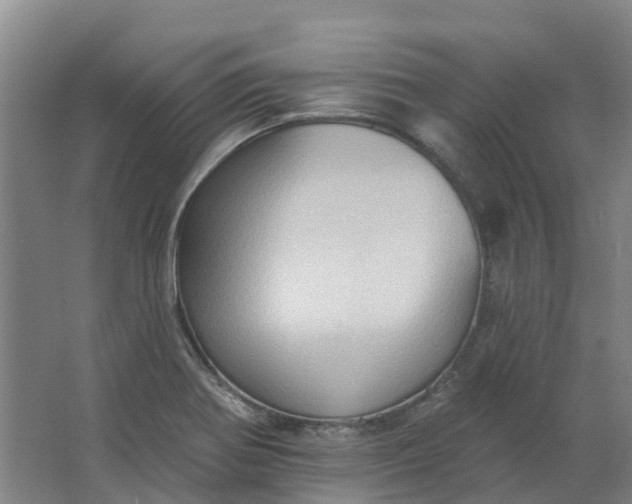 X0000062891370200601271637