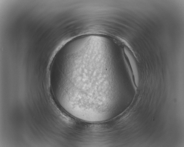 X0000062891371200601271636