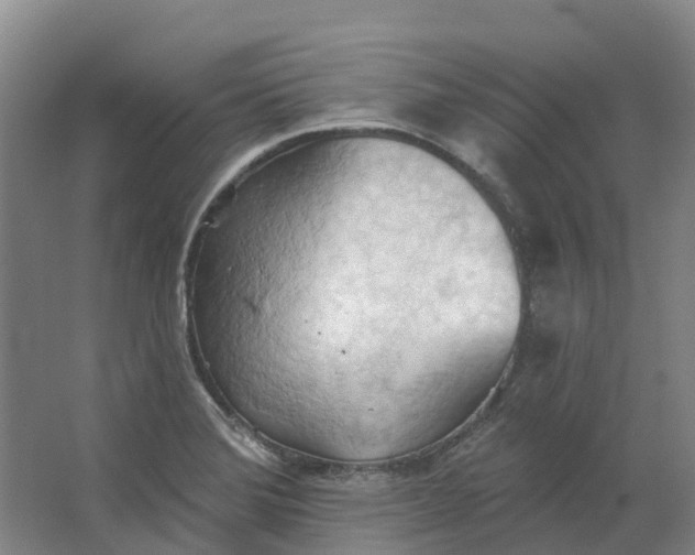 X0000062891372200601271636