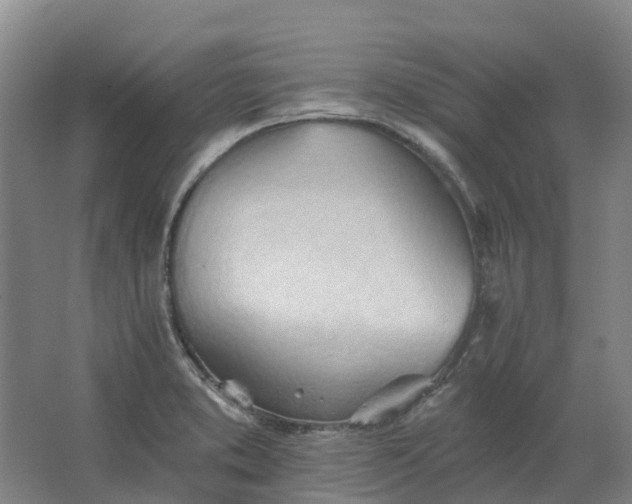 X0000062891373200601271636