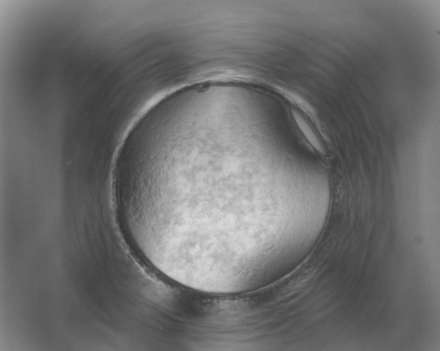 X0000062891375200601271636