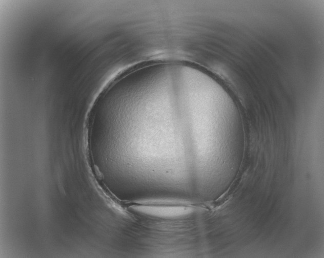 X0000062891376200601271636