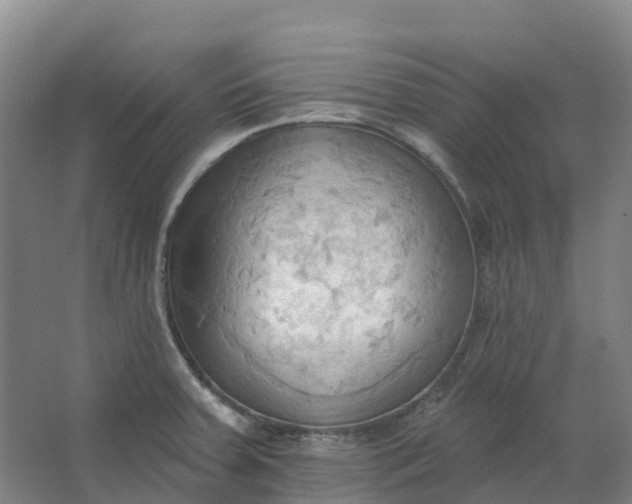 X0000062891379200601271636