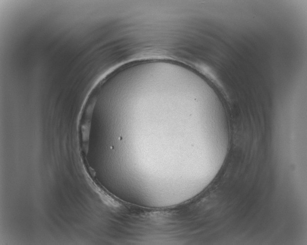 X0000062891380200601271636